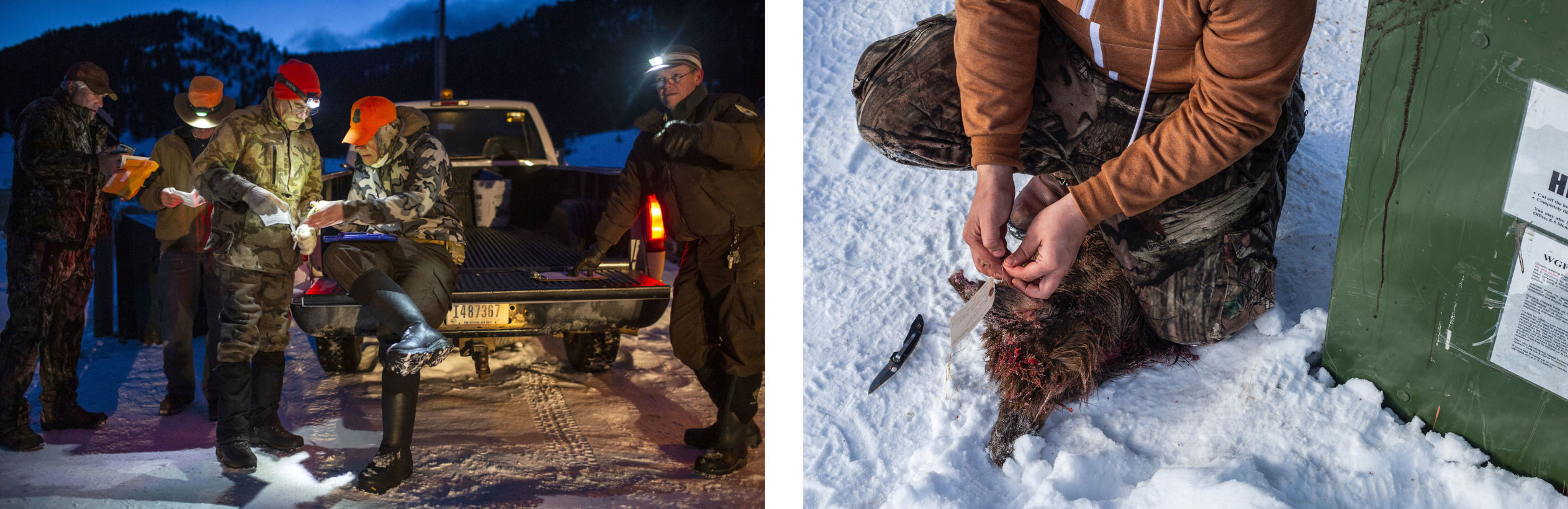 CWD reaches Jackson Hole